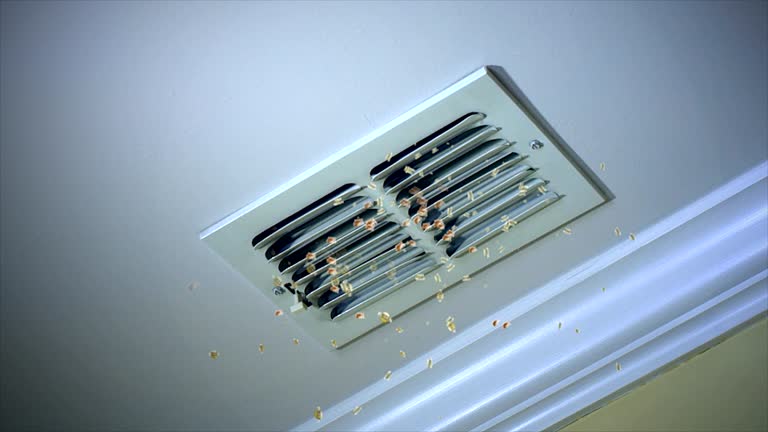 Best Air Duct Cleaning Company Near Me  in Riverside, MD